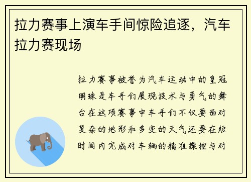 拉力赛事上演车手间惊险追逐，汽车拉力赛现场