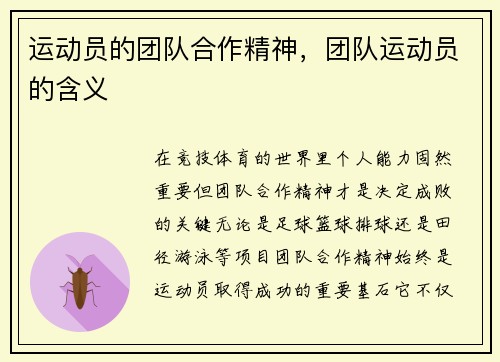 运动员的团队合作精神，团队运动员的含义